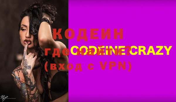 хмурый Алзамай