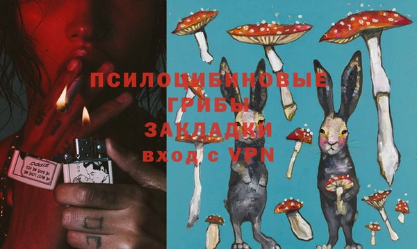 прущие крисы Абаза