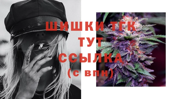 прущие крисы Абаза