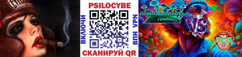 Галлюциногенные грибы MAGIC MUSHROOMS  где можно купить   Барыш 
